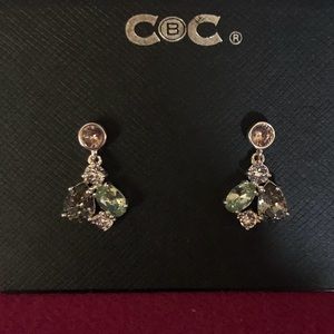 Sparkly Earrings NWT